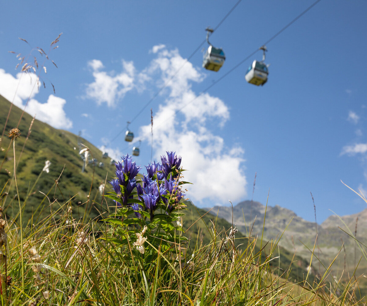 Sommer in Serfaus-Fiss-Ladis in der Alpenrose