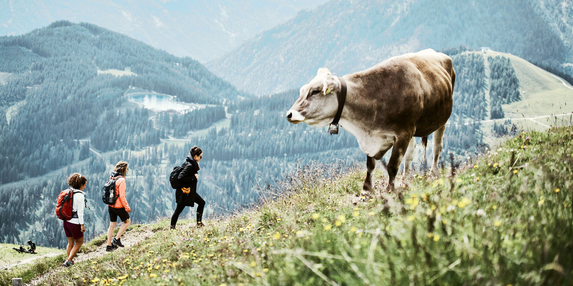 Serfaus-Fiss-Ladis - 
